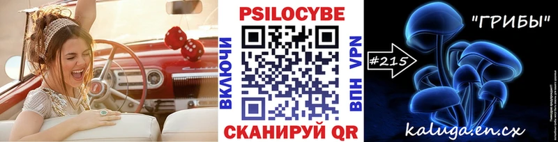 Купить где  Южно-Сахалинск  Псилоцибиновые грибы Psilocybine cubensis 